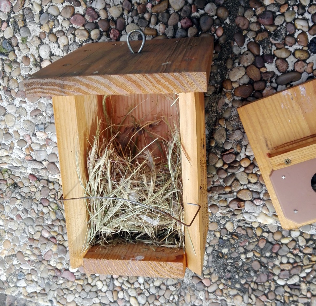 Hay que limpiar la caja-nido de los restos del año pasado para que una nueva pareja de pájaros haga el nido.