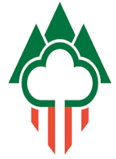 COSE_Consorci_Logo