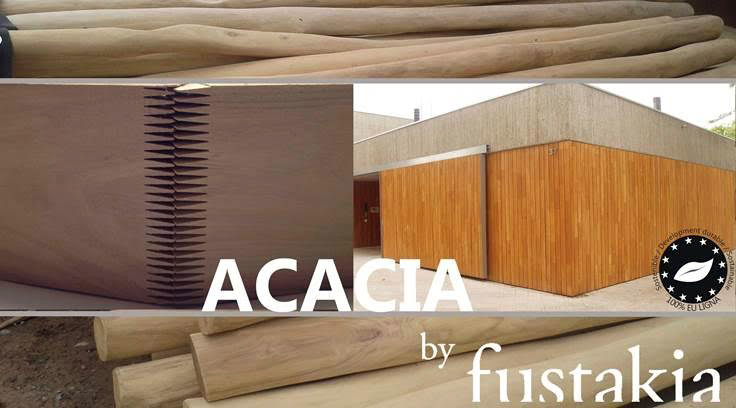 FUSTAKIA_acacia