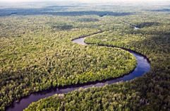 Hito para el comercio entre la UE e Indonesia y el control de la tala ilegal