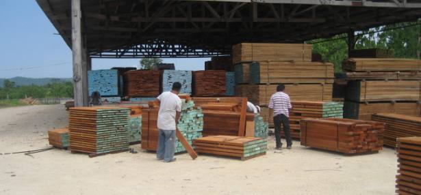 FORESCOM obtiene el certificado MADERA JUSTA