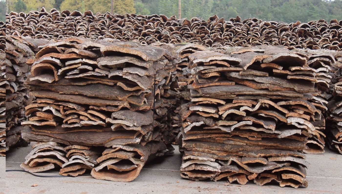 En España se extraen al año 88.400 toneladas de corcho