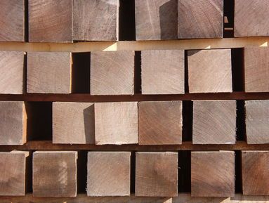 Las importaciones de madera tropical han caído un 22% en la primera mitad de este año