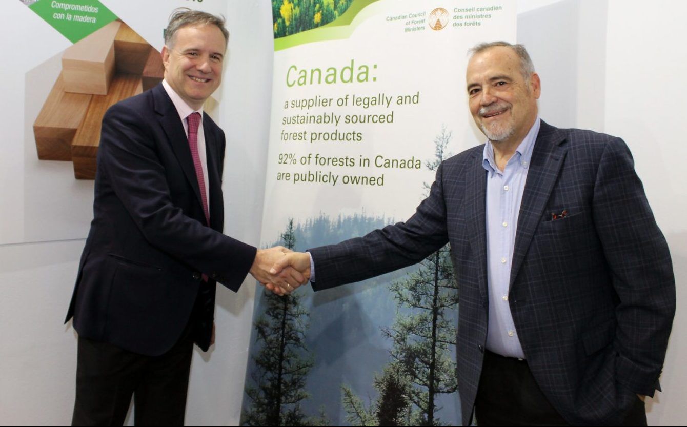 Aranceles cero para la madera canadiense en España