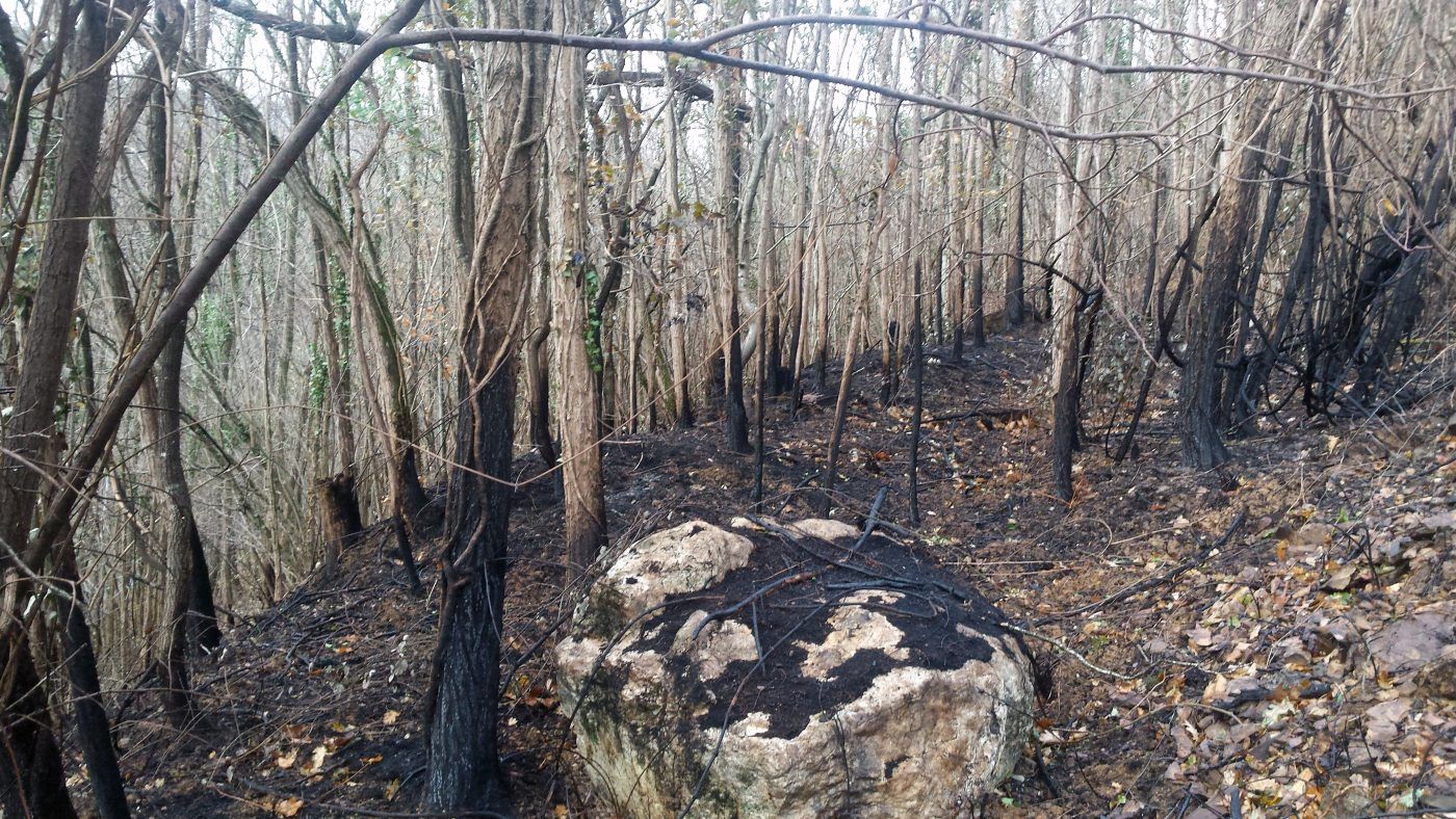 El entorno, estresado