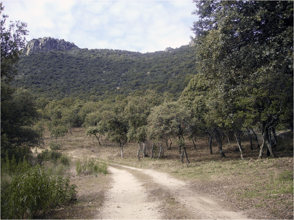 Gestionar para conservar