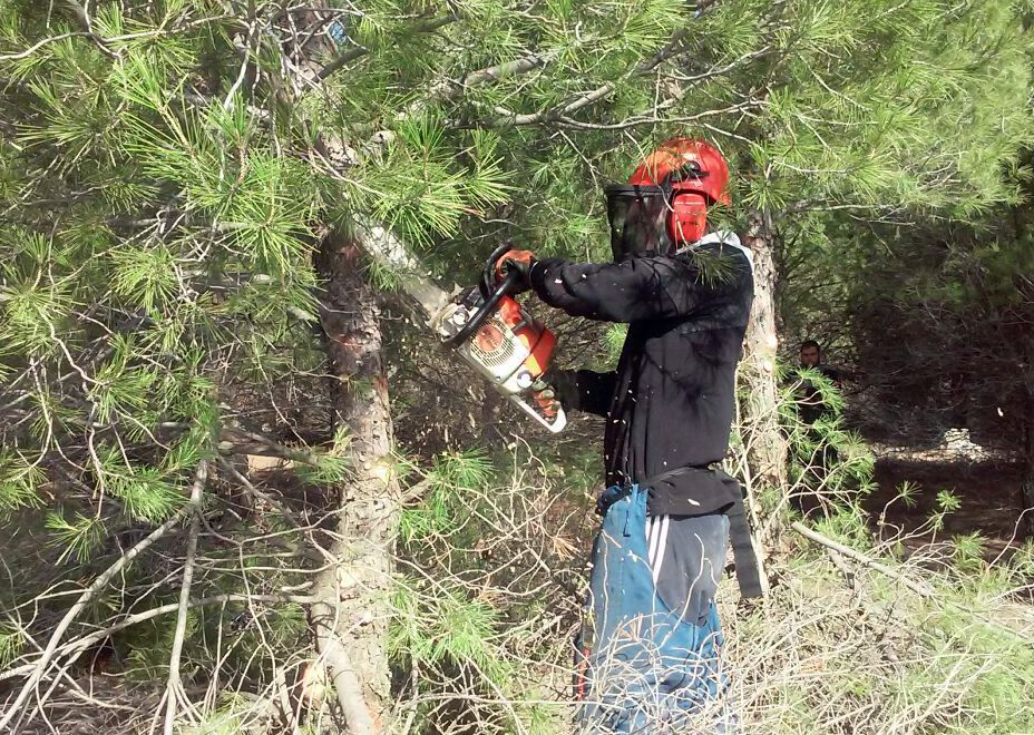Patronal y sindicato presentan a la Ministra el primer acuerdo marco estatal para el sector forestal