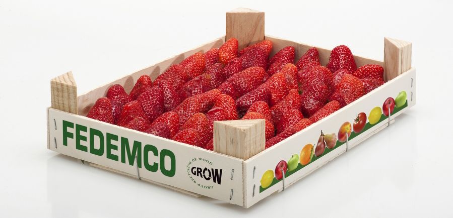 Nuevas evidencias confirman la higiene de la madera en contacto con frutas, pescado y queso