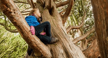 Presentado GUTIK ZURA, un documental sobre la madera