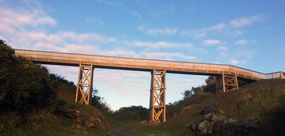 Mikel Arando (PROTEC): “Hay tecnología, normativa y conocimiento para utilizar la madera al exterior con todas las garantías”