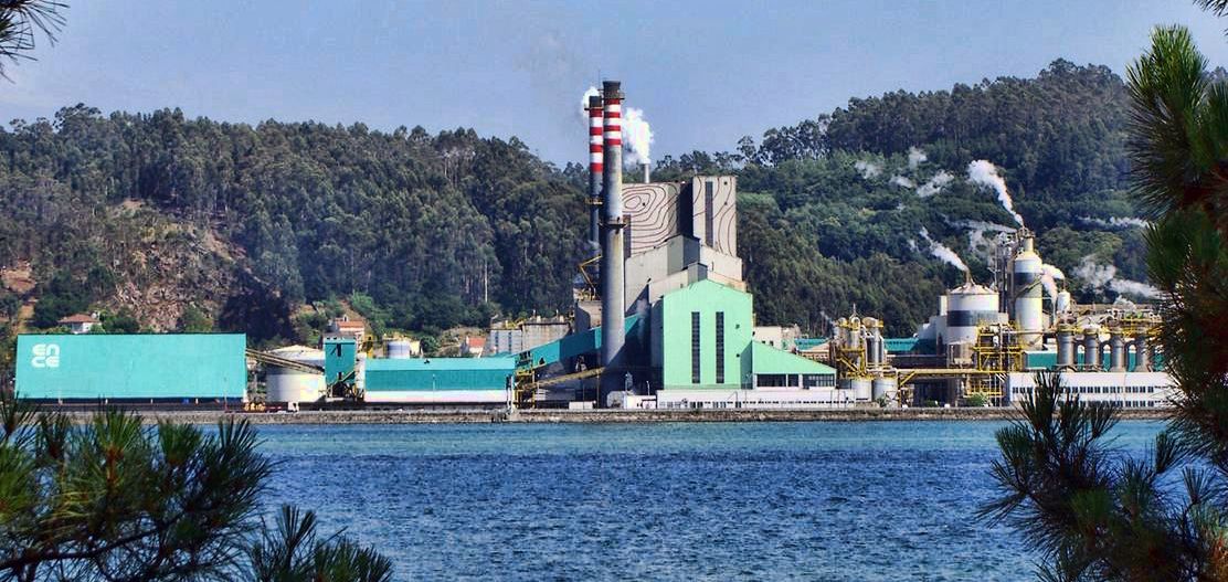 ENCE planea abrir un centro de investigación sobre la madera en Galicia