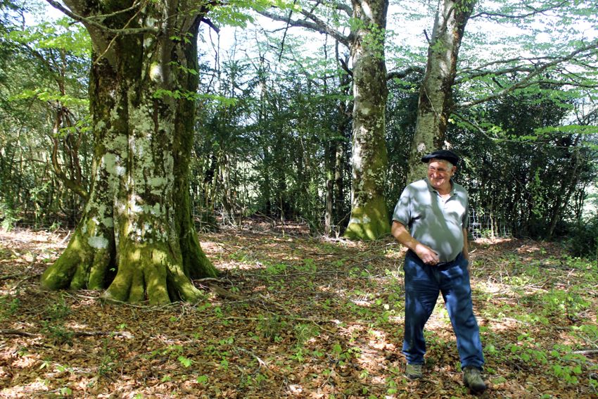FORESNA-ZURGAIA convoca la jornada “BOSQUES ALGO MÁS”