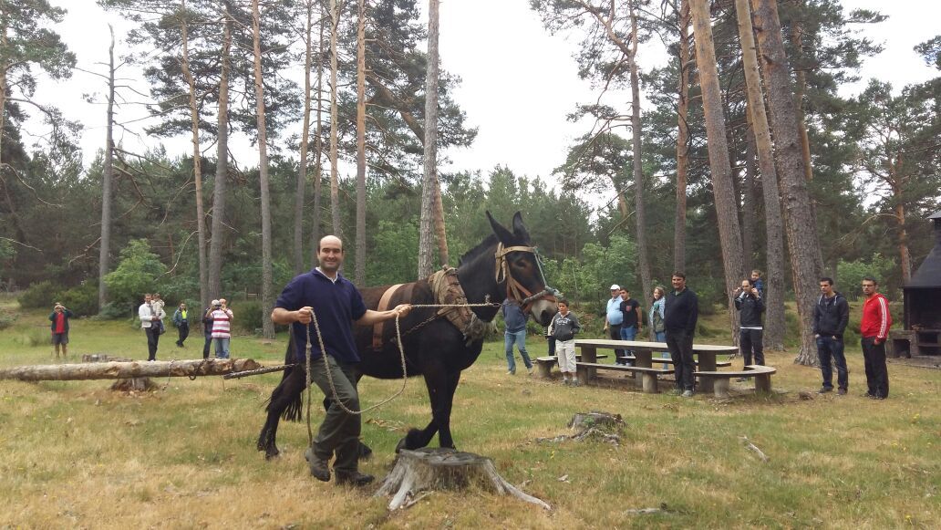 DURUFEMA 2016 suma cuarenta expositores