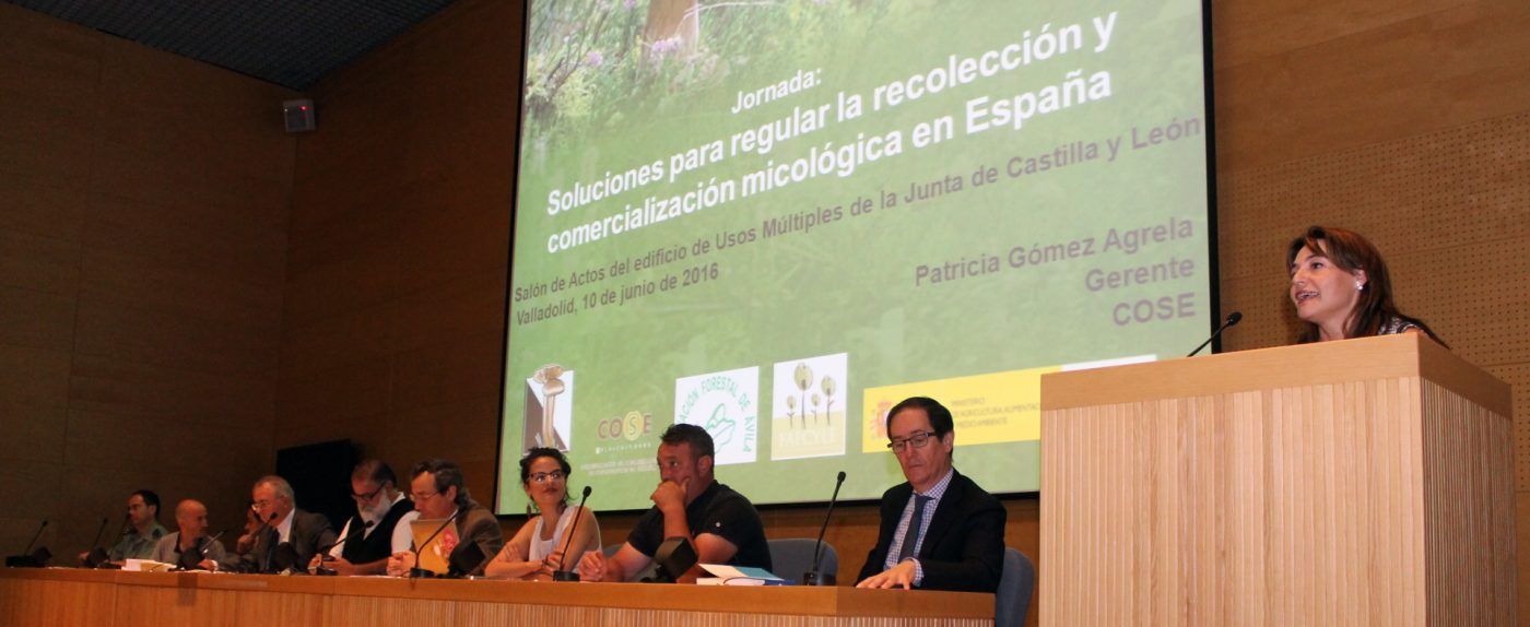 COSE, FETRUSE y MAGRAMA ofrecen una propuesta sectorial para regular la actividad micológica