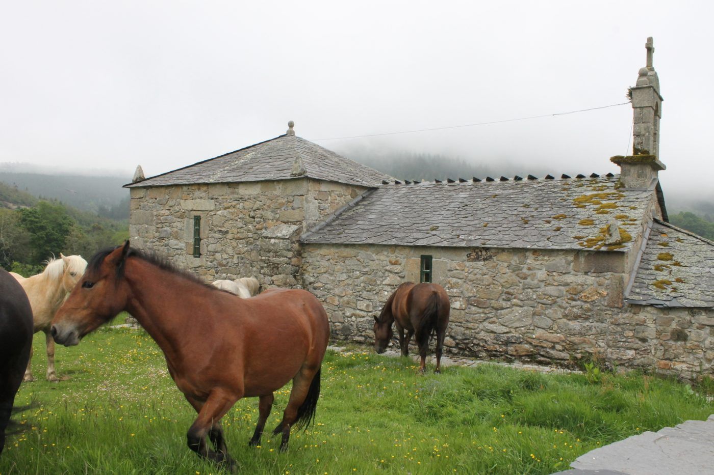 Por qué el desprecio al medio rural y a sus habitantes nos debilita en esta crisis