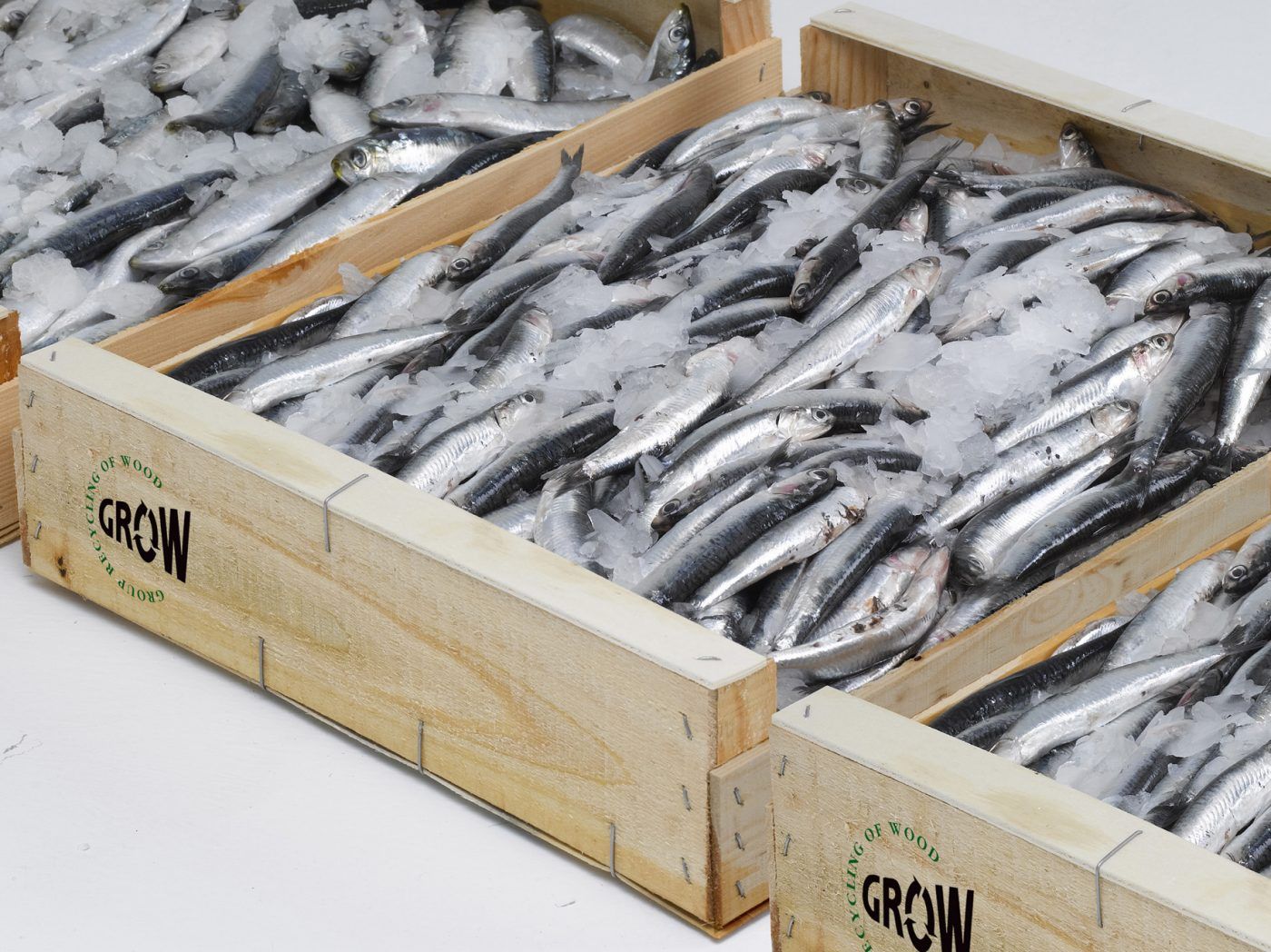 Los envases de madera para pescado “fresco” ganan reconocimiento internacional