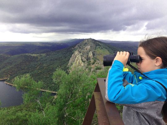 Ultimas aportaciones al 7º Congreso Forestal Español