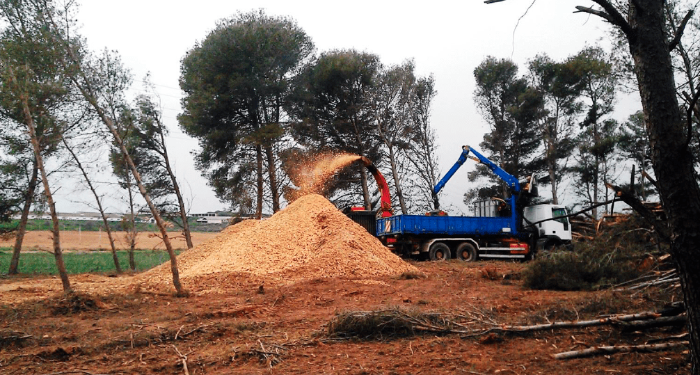 COSE defiende la utilización de biomasa forestal con fines energéticos y lamenta su escaso desarrollo