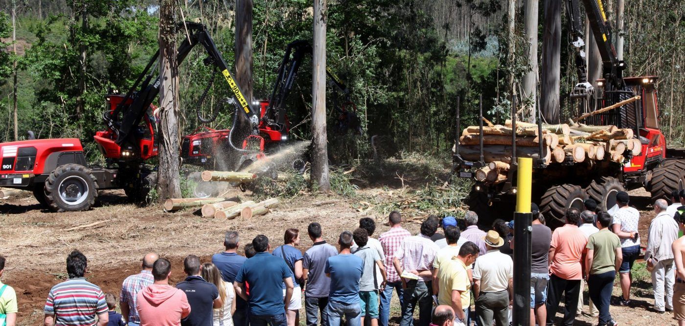 GALIFOREST ABANCA cierra su mayor edición con una afluencia de 5.800 visitantes