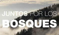 Gran repercusión de la iniciativa JUNTOS POR LOS BOSQUES