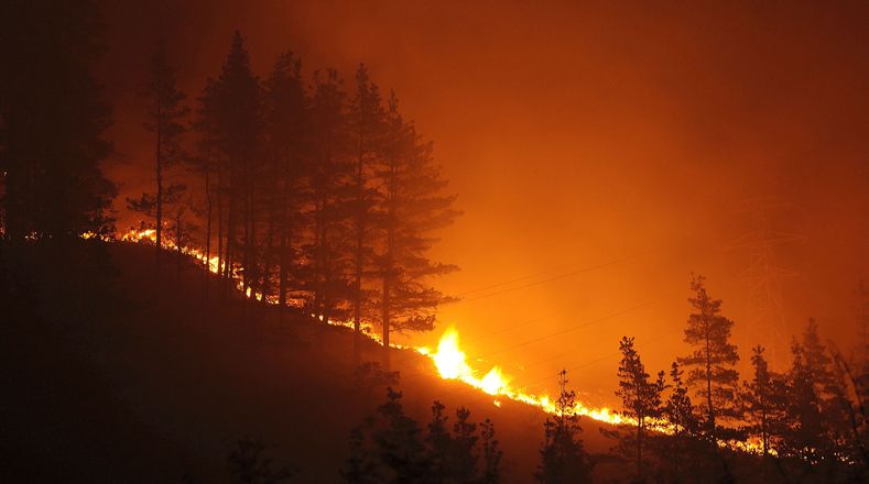 Fundación ARTEMISAN reivindica la actividad cinegética como clave en la prevención de incendios