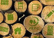 PEFC celebra el Día Internacional de los Bosques con un crecimiento de la superficie forestal certificada