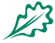 Euskadi explora las oportunidades de la bioeconomía para su sector forestal y de la madera