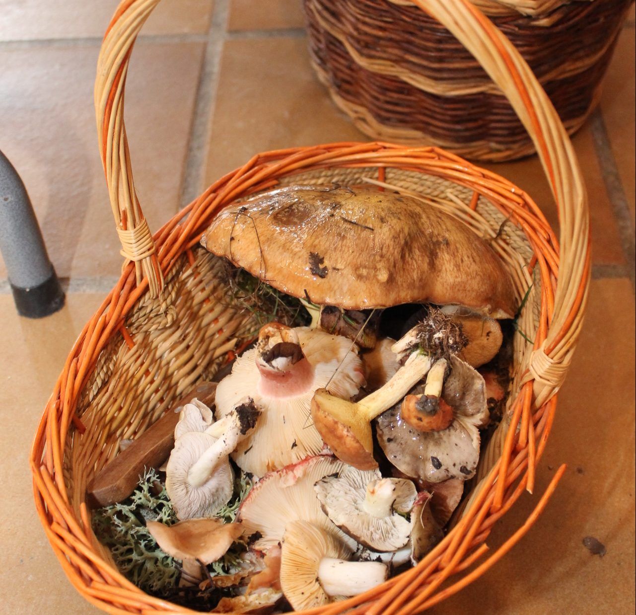 Las setas tienen dueño