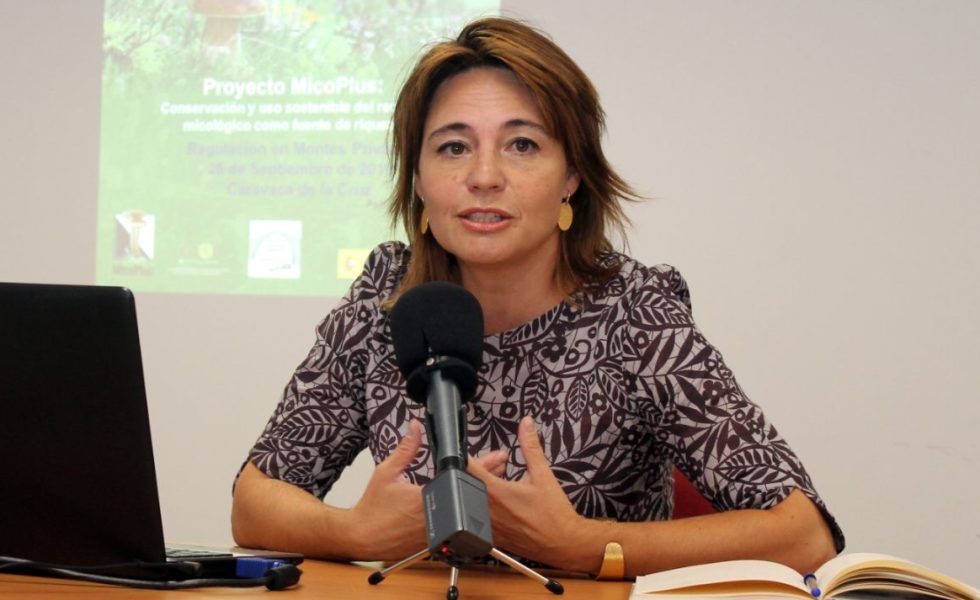 COSE reclama un Pacto de Estado por los Montes que supere la miopía política de los 4 años