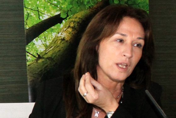 “Los libros de texto deben utilizar papel certificado para educar en el respeto al medioambiente”