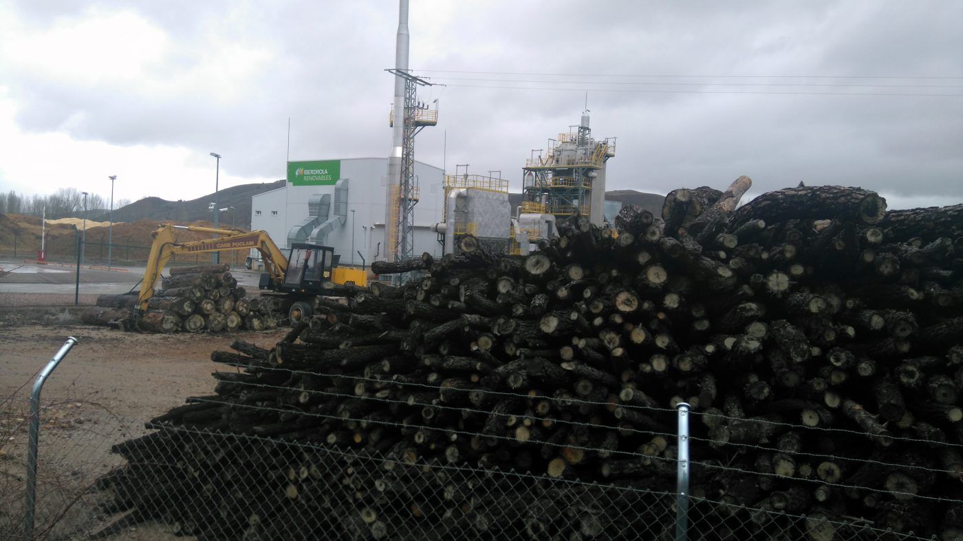 La biomasa, un negocio de 3.700 millones de euros en España, 0,34% del PIB