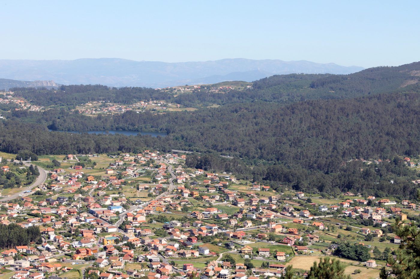 “Bosques y ciudades sostenibles: vivamos en ciudades más verdes y saludables”