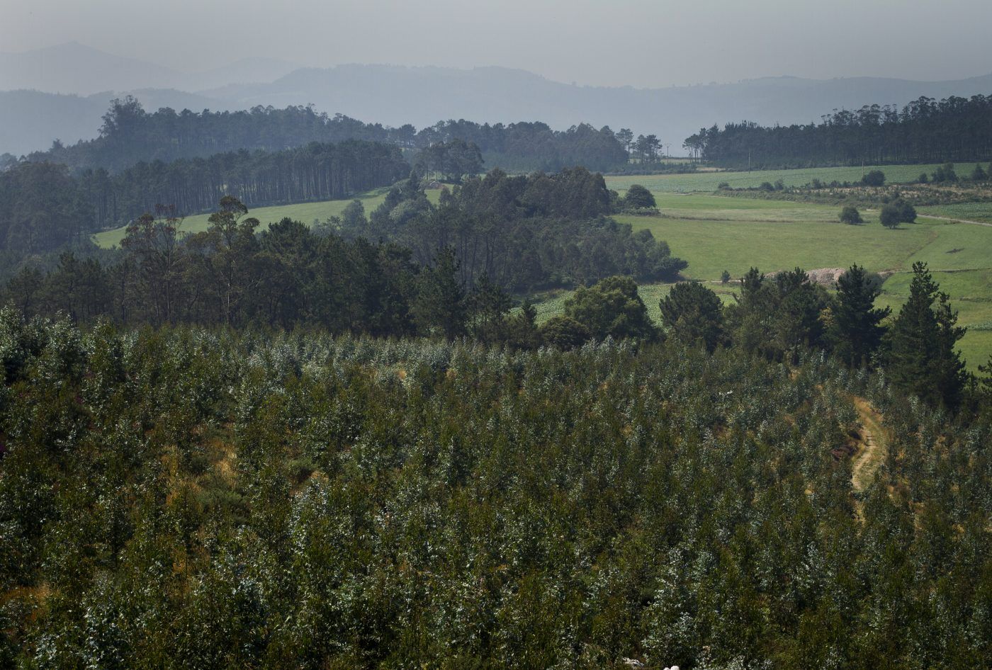 La Fundación CETEMAS presenta nuevos proyectos de varios grupos operativos