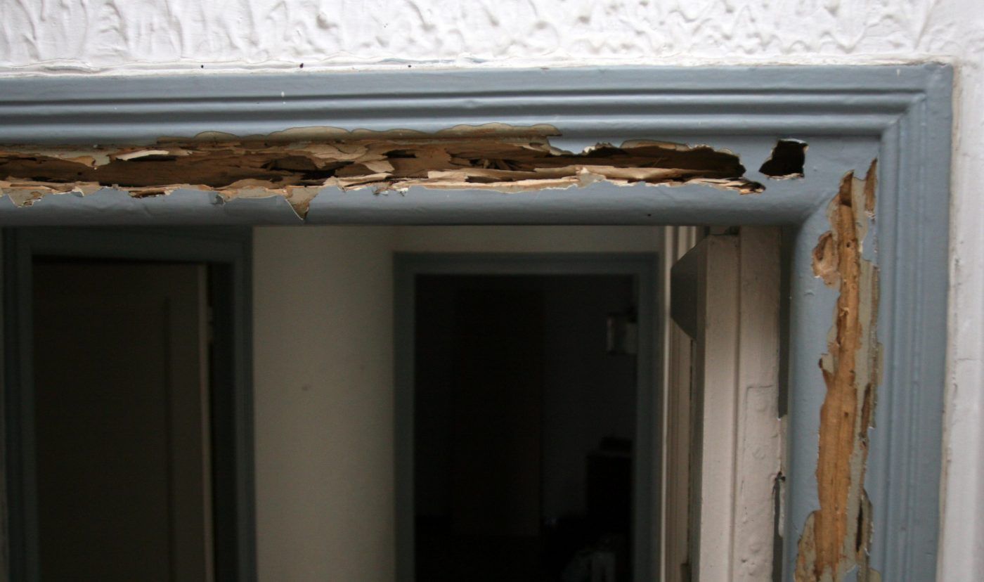 ANEPROMA convoca el curso “Técnico en inspección, detección y tratamiento para la actuación en cascos urbanos atacados por termitas”