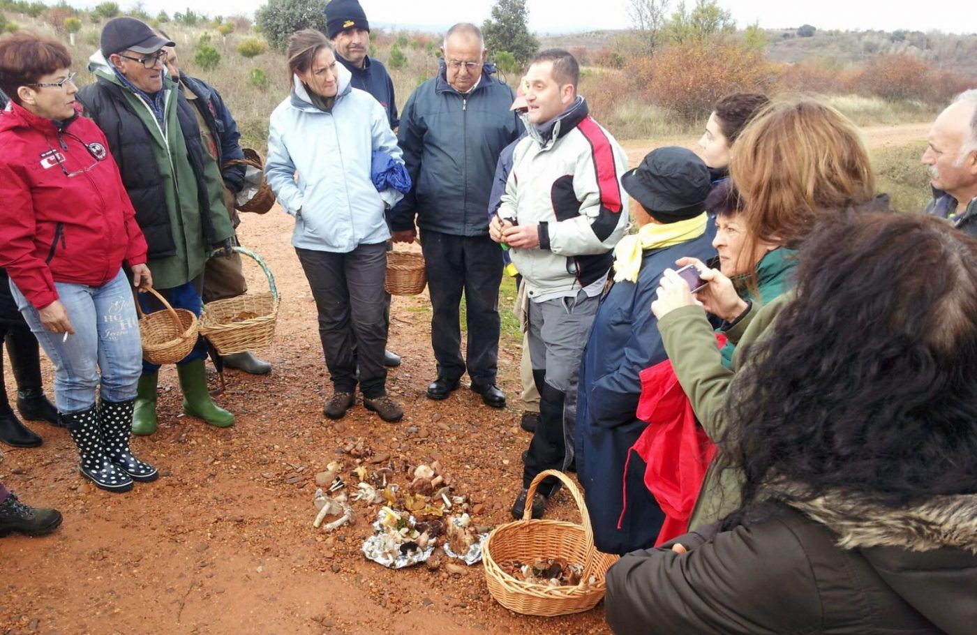 COSE publica unas recomendaciones para ser un buen recolector de setas
