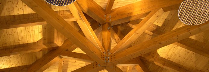 AITHON PV33: Barniz intumescente para la madera