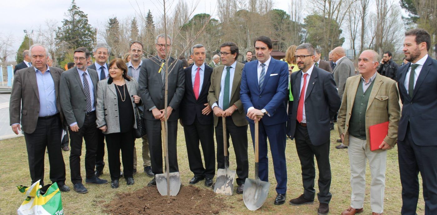 El sector celebra unido el Día Internacional de los Bosques