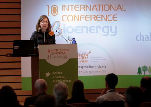 Bioenergía 4.0: Retos y oportunidades