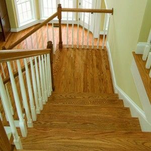 XYLAZEL Barniz Universal