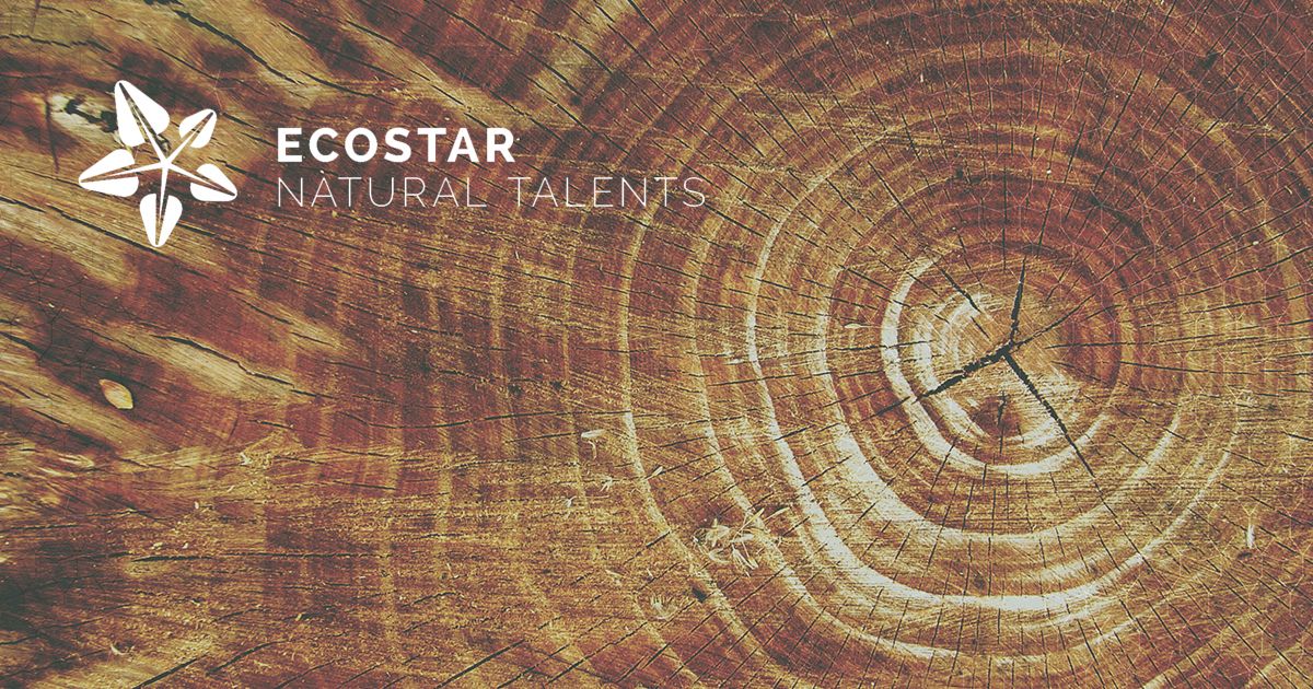 ECOSTAR: Una iniciativa para promover el emprendimiento en el sector forestal