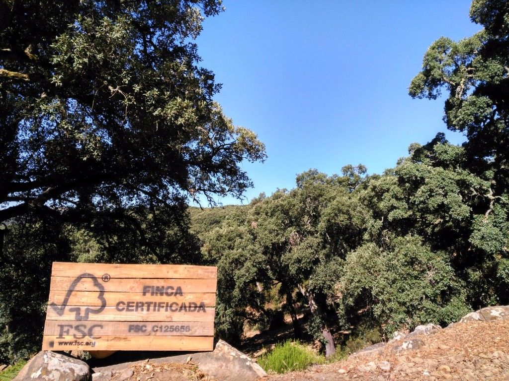 FSC patrocina el Congreso Forestal Español