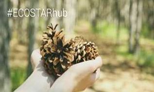 MADERA JUSTA estará en el evento ECOSTAR