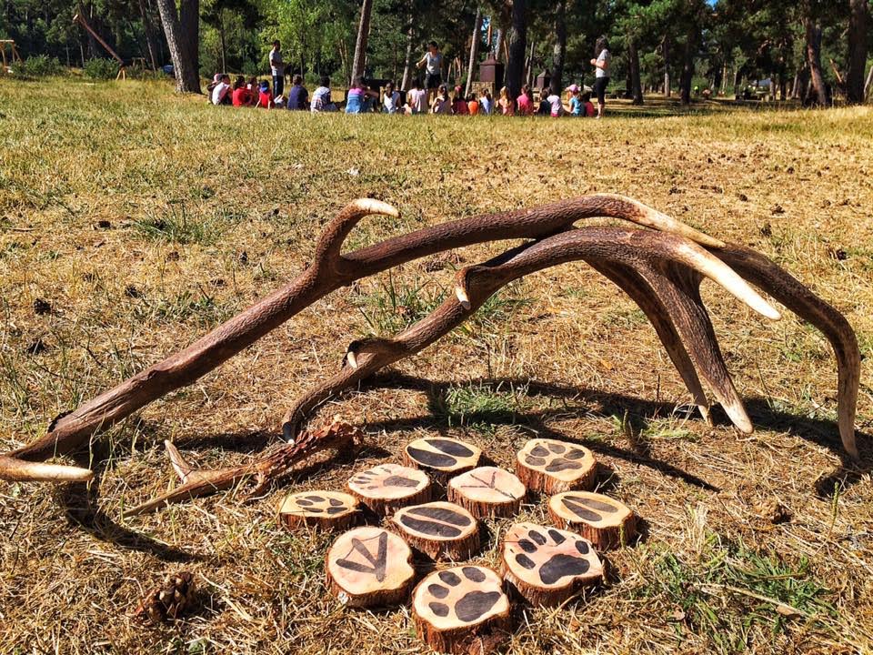 DEMANDA NATURAL: El bosque como atracción para el turismo y la educación en la biodiversidad