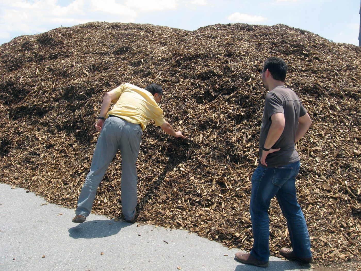 El sector de la biomasa garantiza el suministro de energía durante el estado de alarma