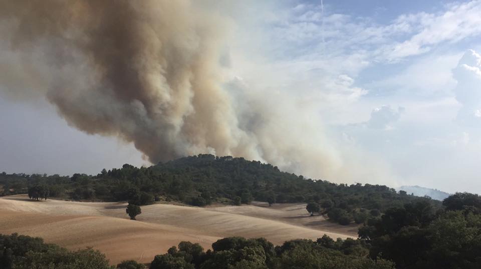Reducir el riesgo de incendios mediante el aprovechamiento de biomasa