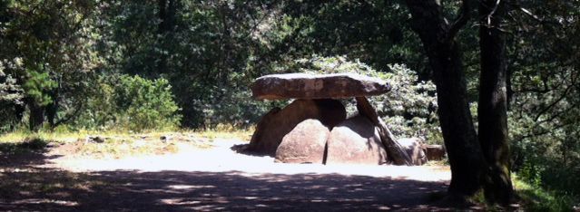 ENCE apoya la preservación del patrimonio arqueológico