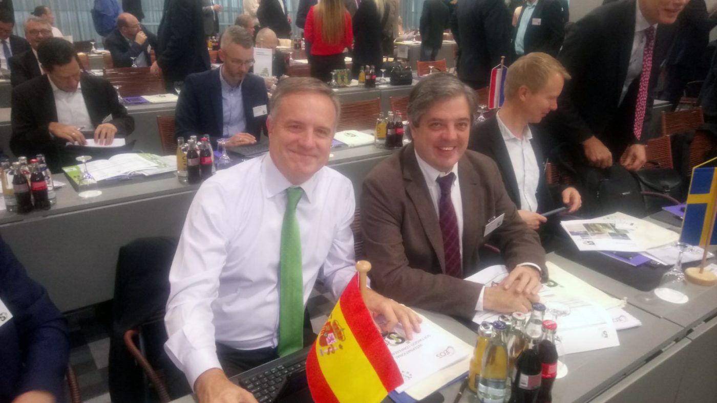 Crece la producción y el consumo de coníferas a nivel mundial