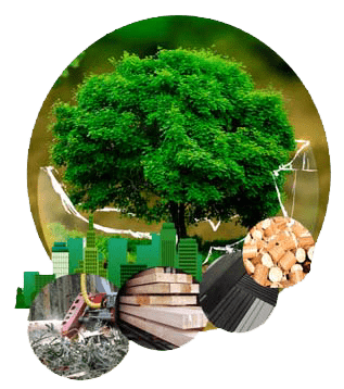 En marcha la web para asistir al primer Congreso Nacional de Bioeconomía Forestal