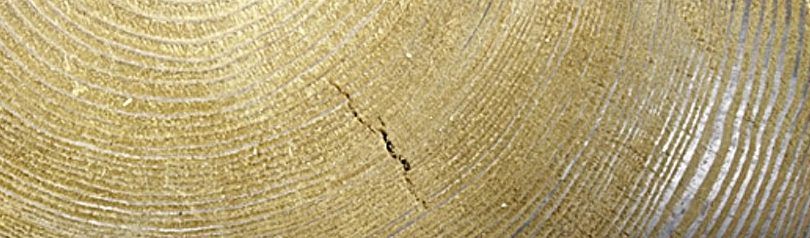 BROOKHUIS presenta su nuevo detector de grietas internas en la madera