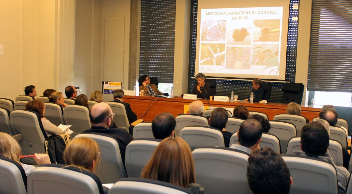 Patricia Gómez, gerente de COSE: “Nos interesa mucho conocer la evaluación de daños y seguimiento de la plaga en los eucaliptales de nuestros montes”